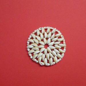 sottopentola conchiglie - andrea fanciaresi vendita online