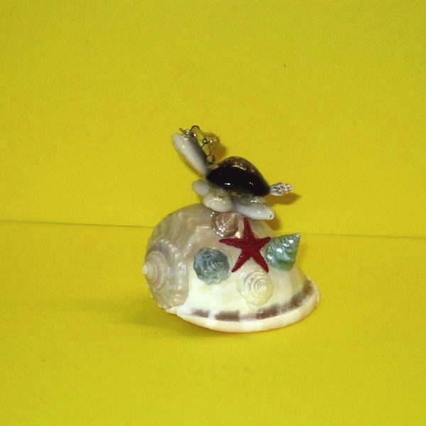 tartaruga cassis phalium - andrea fanciaresi vendita online