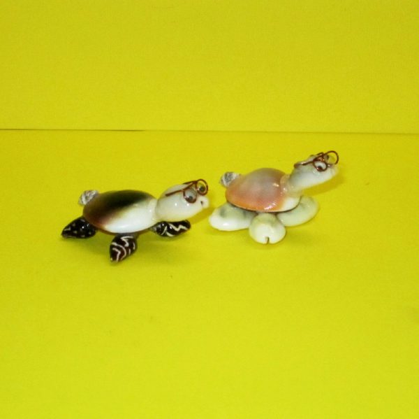 tartaruga opercoli - andrea fanciaresi vendita online