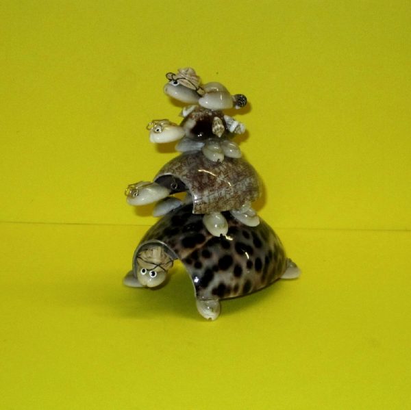 tartaruga testa movibile - andrea fanciaresi vendita online