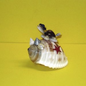 tartaruga tonna - andrea fanciaresi vendita online