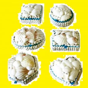 scatola conchiglia - andrea fanciaresi - vendita online