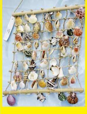 paretina conchiglie - andrea fanciaresi vendita onlin