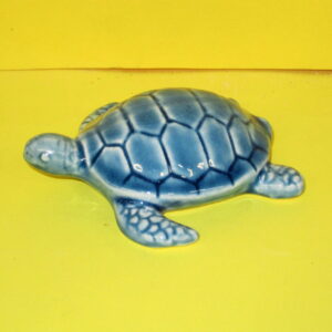 tartaruga ceramica turchese media - andrea fanciaresi vendita online